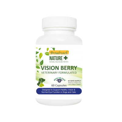 VISION BERRY, podpora liečby a profylaxia závažných chorôb očí, 60 kapsúl